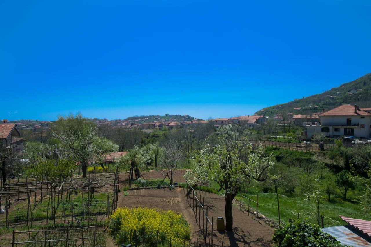 Al Cortile Di Nonno Luigi Villa Agerola Dış mekan fotoğraf